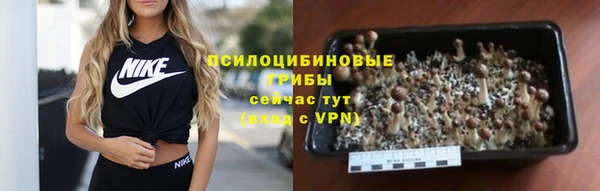 скорость Лиски