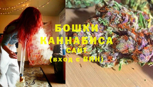 ECSTASY Липки